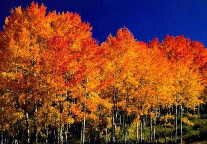 Fairfield Inn And Suites By Marriott Colorado Springs North Air Force Academy Gleneagle Luaran gambar