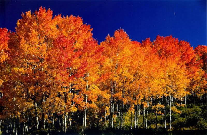 Fairfield Inn And Suites By Marriott Colorado Springs North Air Force Academy Gleneagle Luaran gambar